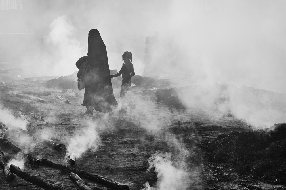 Winning photograph by Ali Nejatbakhsh
